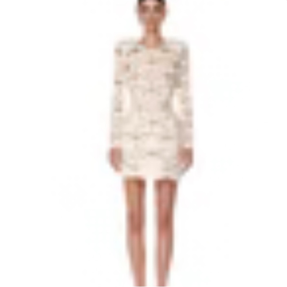 Bronx and Banco vivienne lace dress nwt